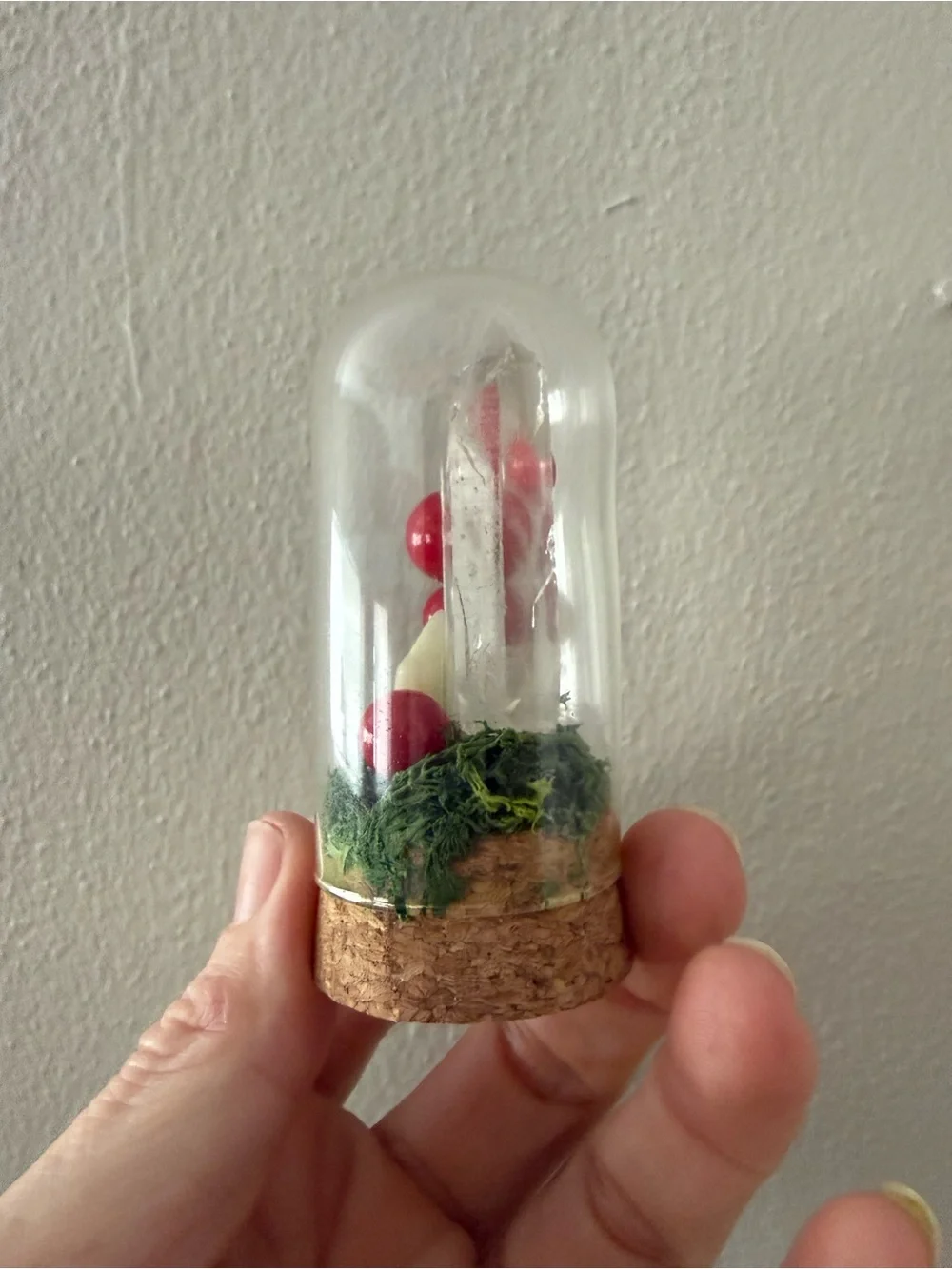 Mini Red Berry Cloche with Cork Base